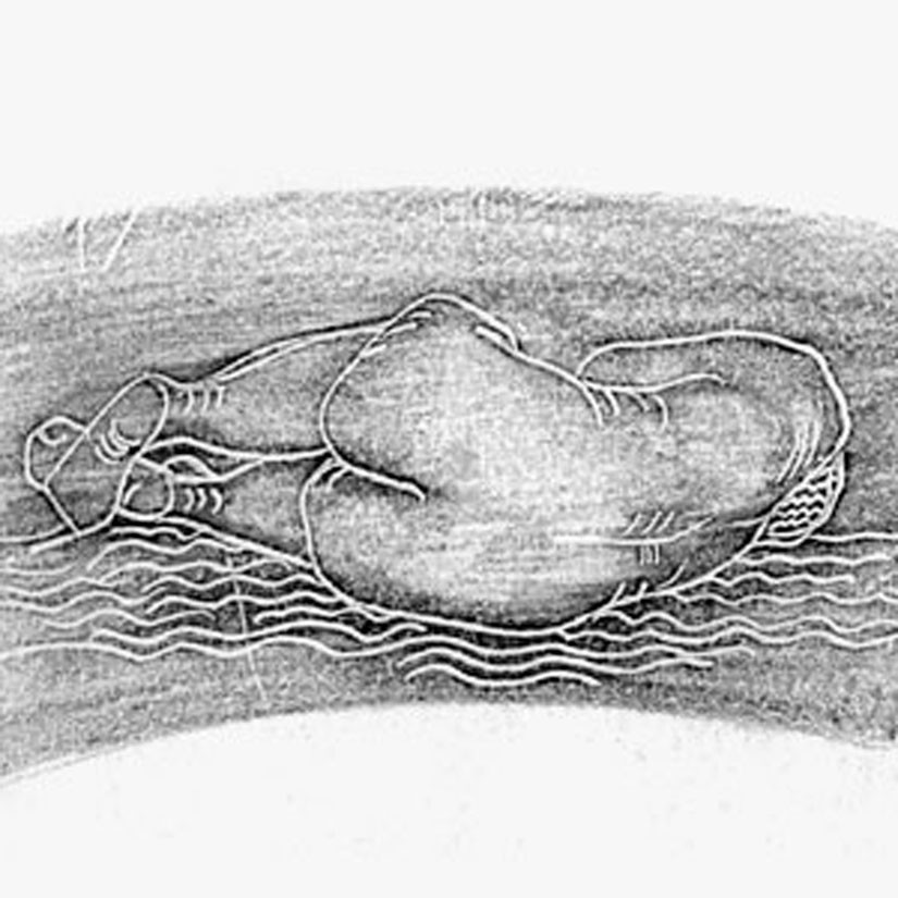 046_01_045_web